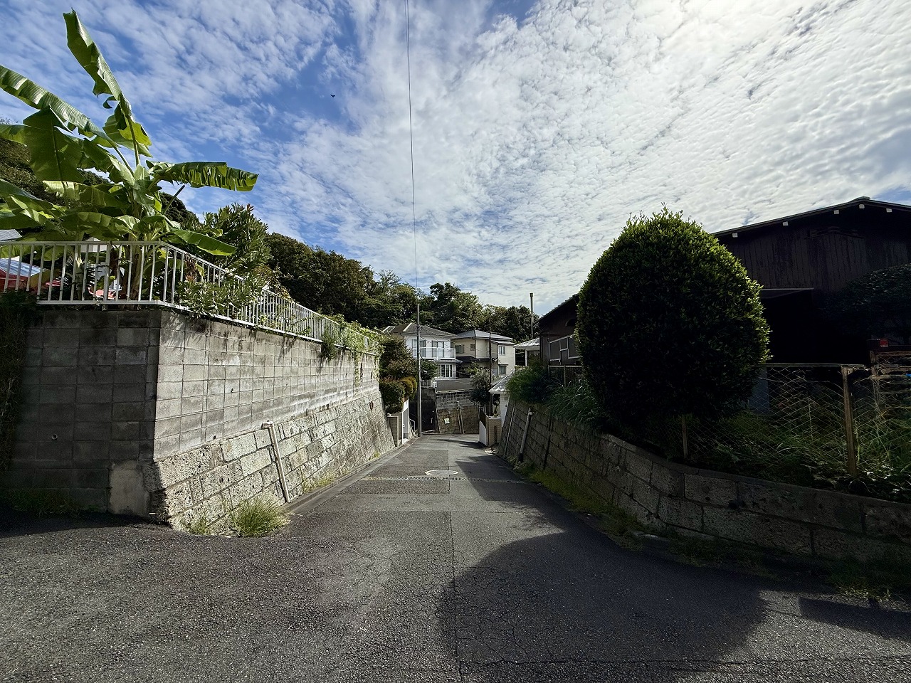北側前面道路