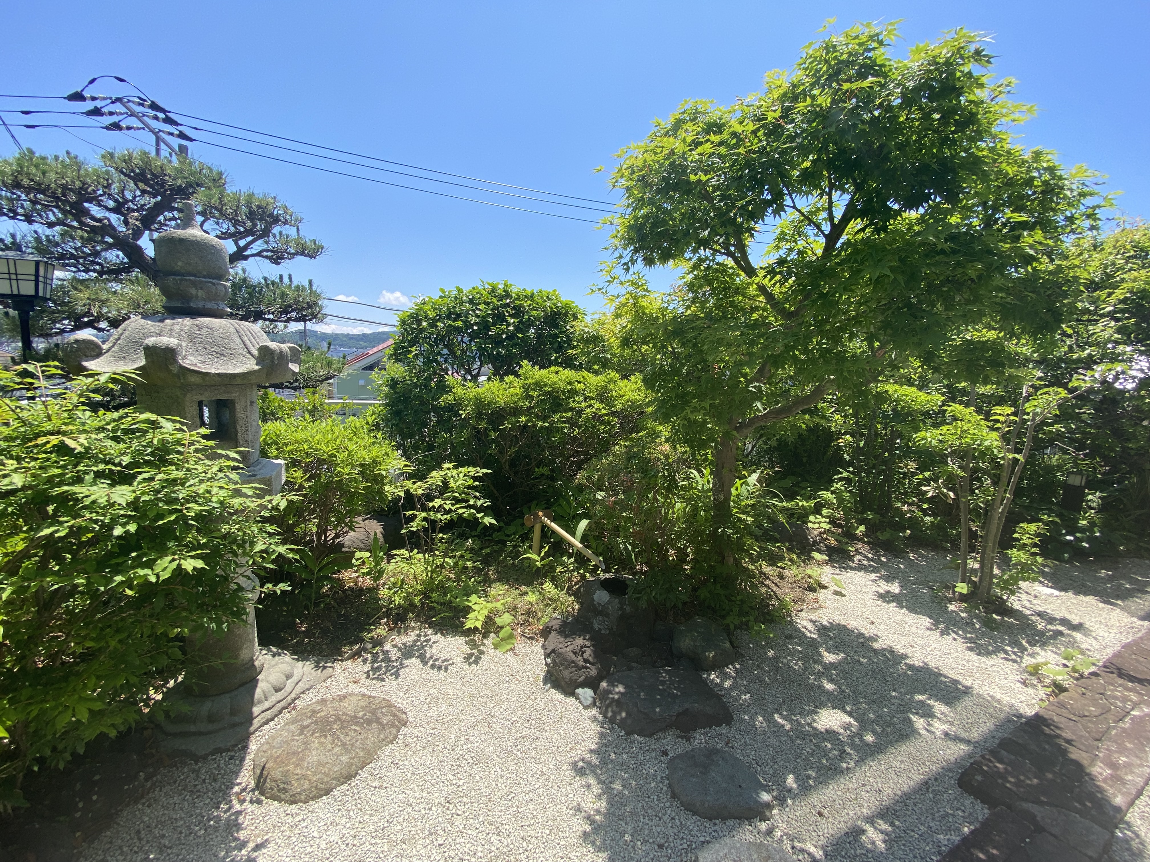 敷地は約230坪