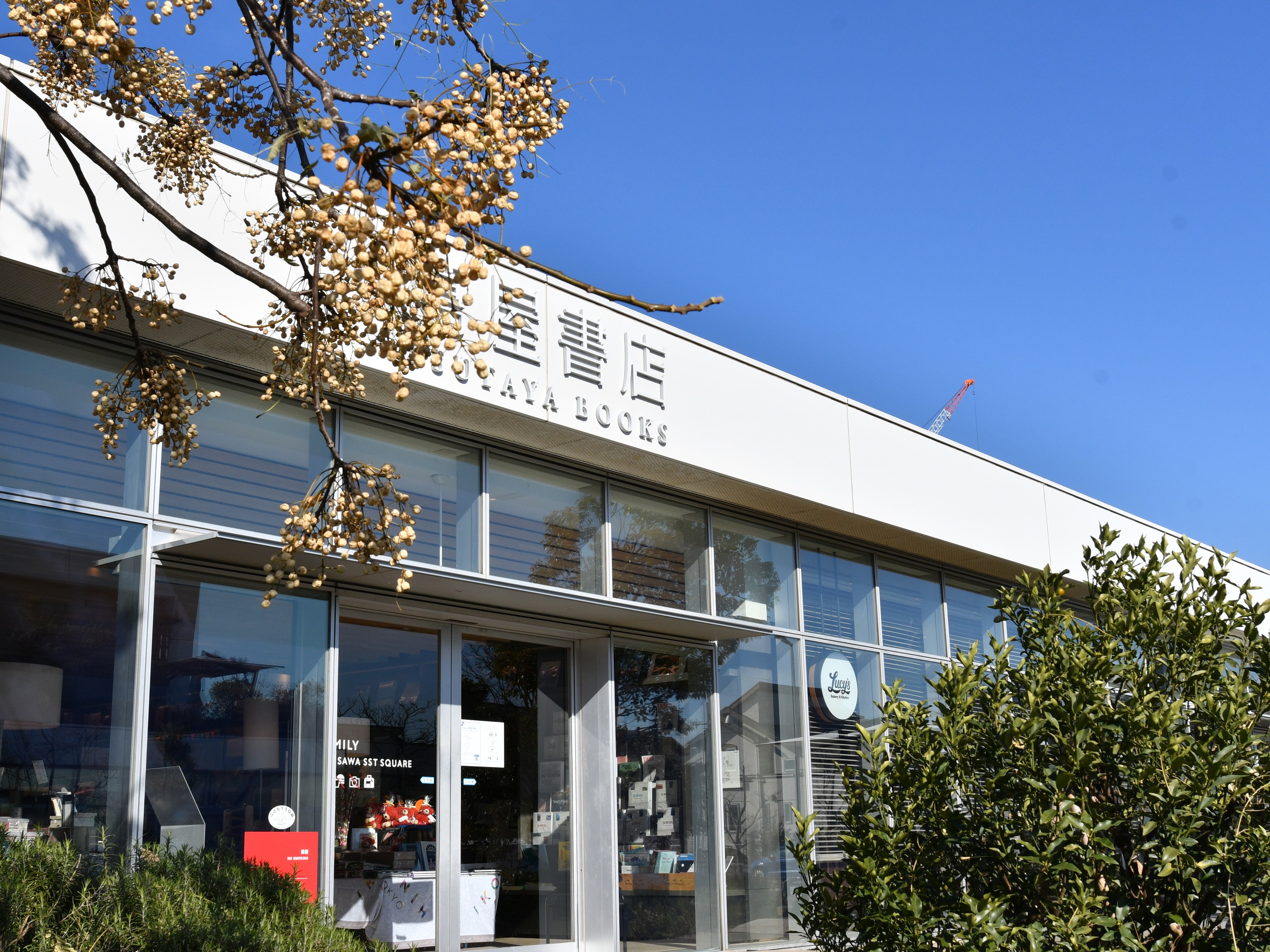 湘南蔦屋書店まで徒歩7分(550m)