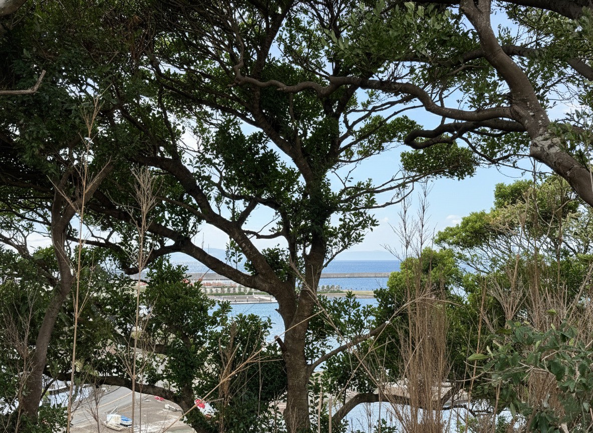 木々の間から海を臨みます