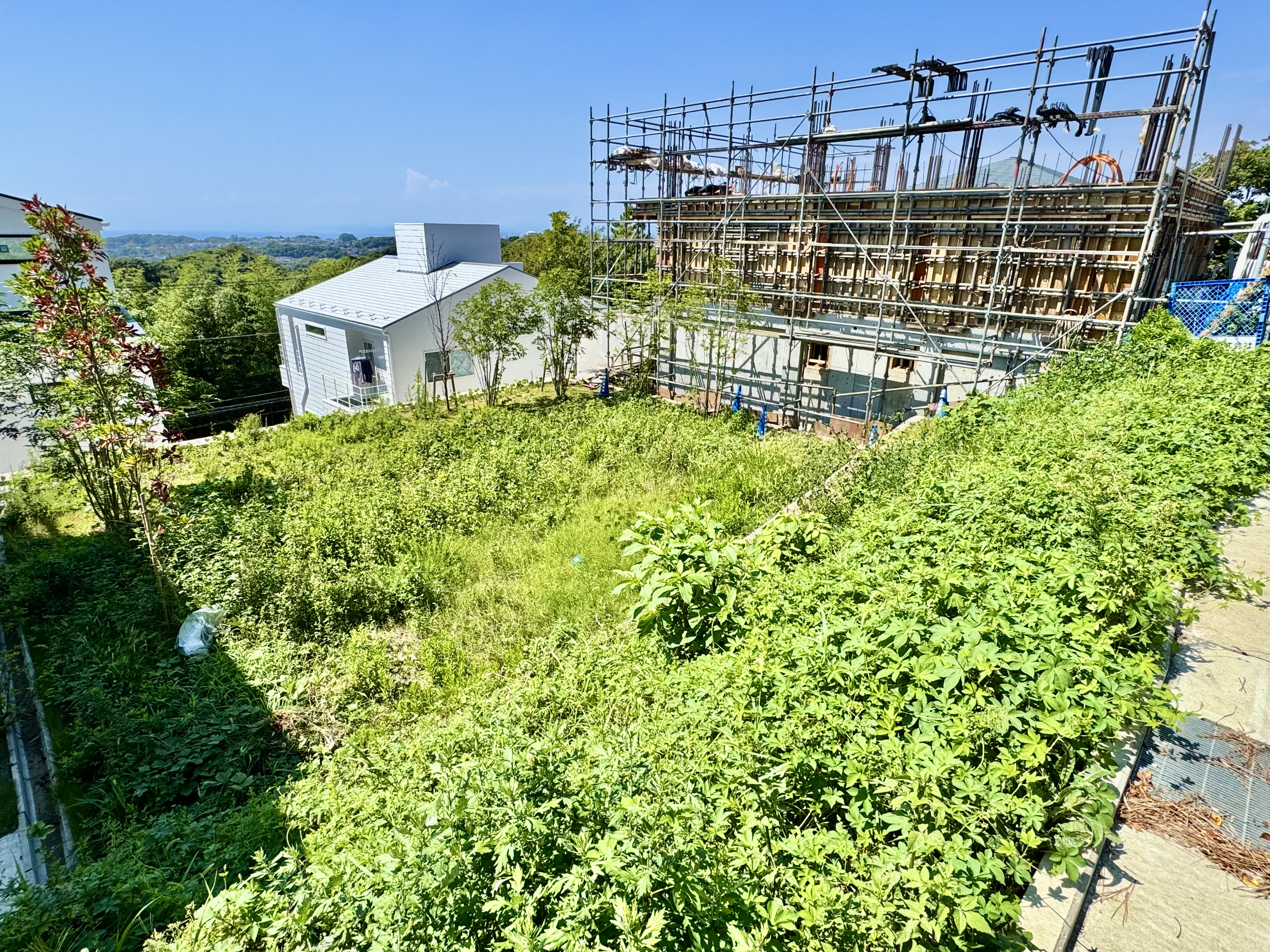 約60坪の敷地