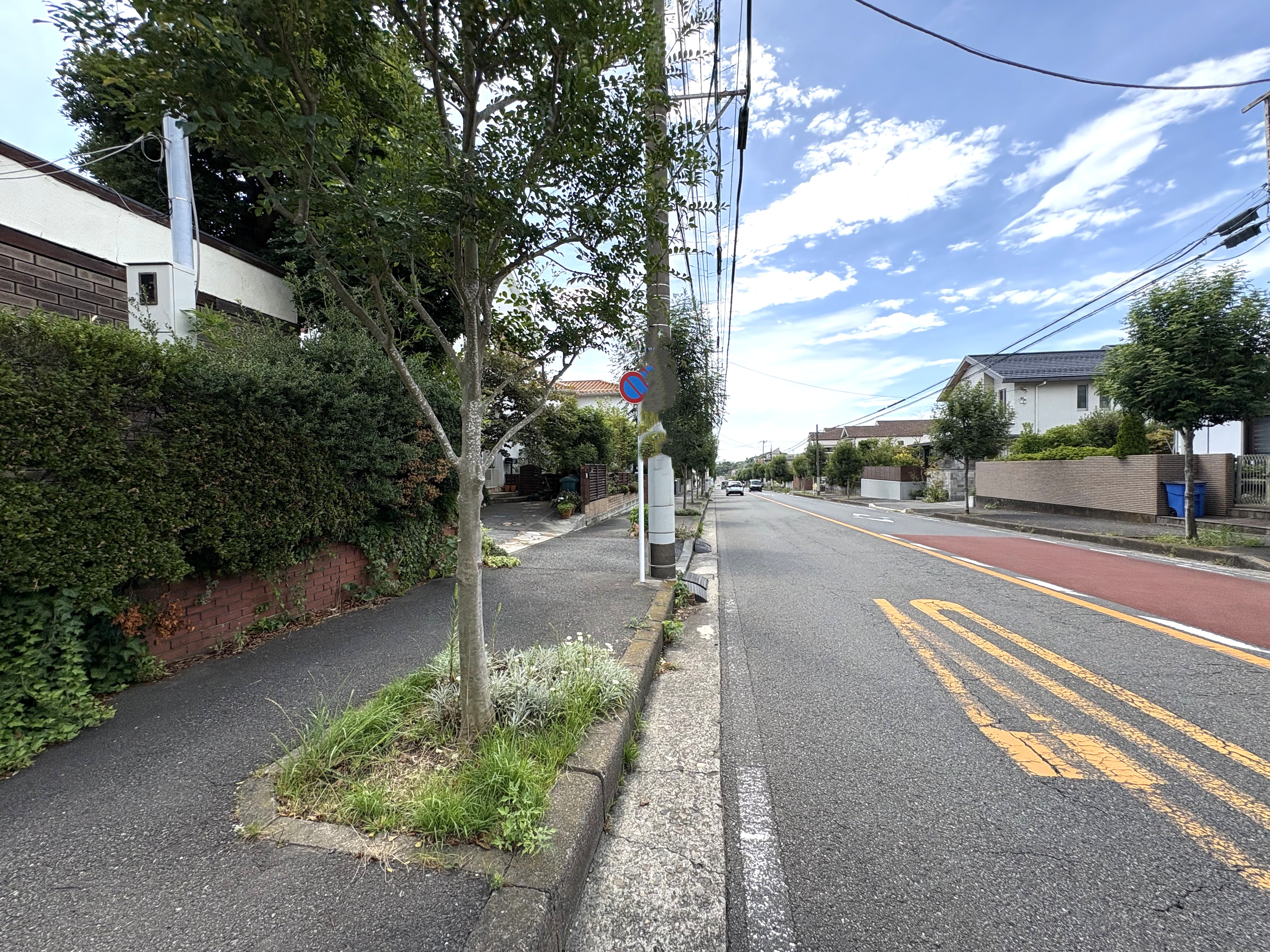 前面道路