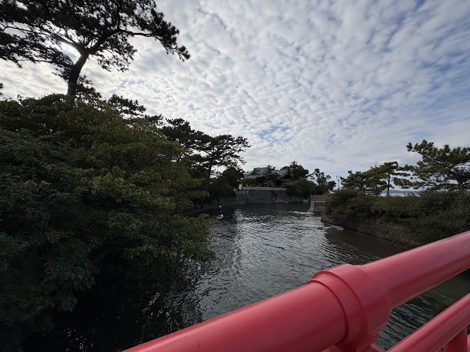 毎日のお散歩が楽しみです。