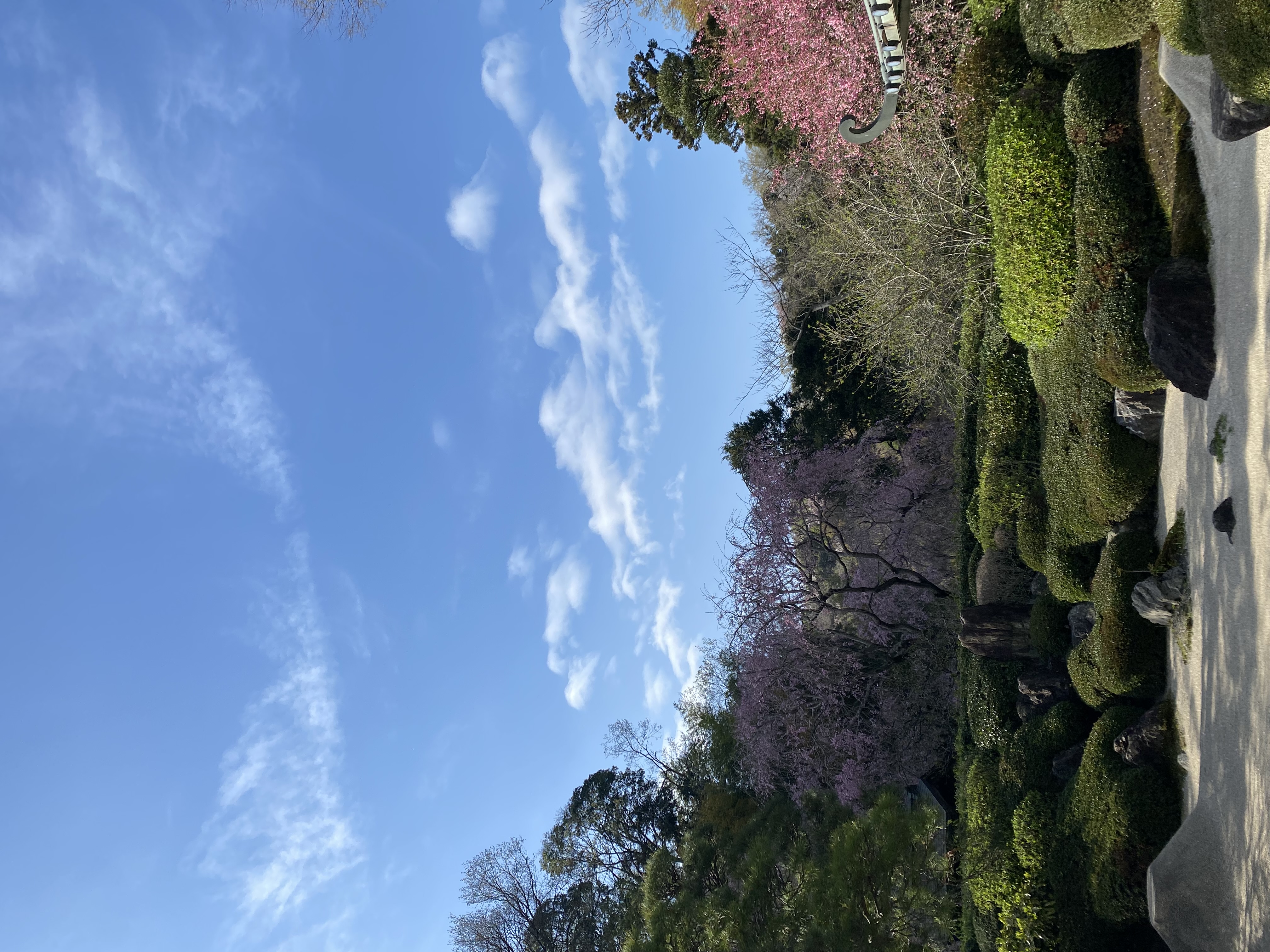 明月院約250m